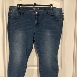 DIANE GILMAN (DG2)  BLUE JEANS PLUS SIZE 28PW